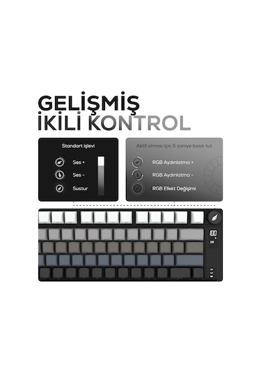 Hk255 Membrane Lcd Rgb Kablosuz/bluetooth Siyah Gradyan %75 Türkçe Gaming Klavye