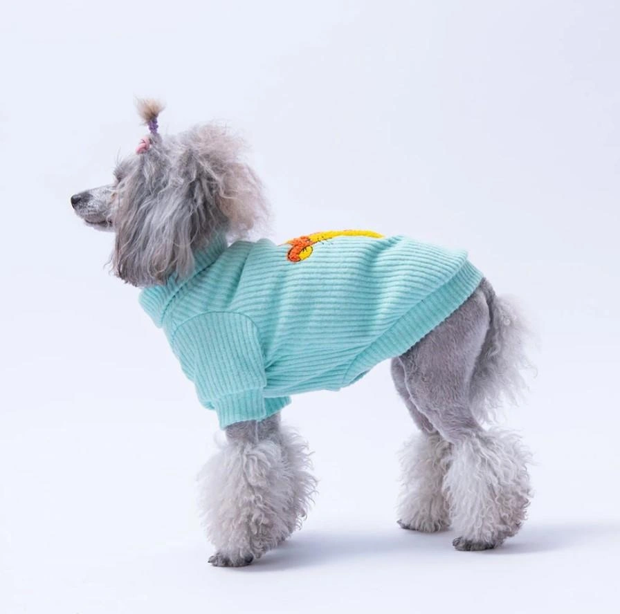 Pawstar Mint Pooh's Ashdown Tigger Küçük Irk Köpek Kazağı