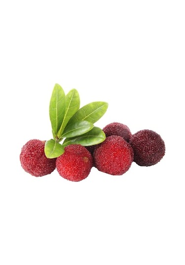 Tropikal Myrica Çin Çileği Tohumu Ekim Seti 2 Tohum +Saksı+Toprak