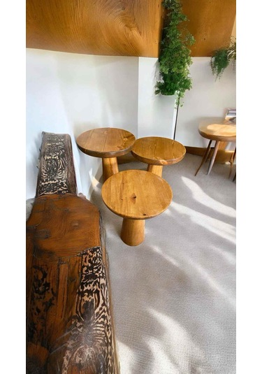 Ahşap Mantar Sehpa Seti Tik Ağacı Renk Masif 3 Lü Zigon