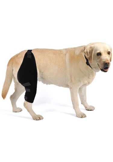 Homyl Köpek Dizlik Pet Dirsek Burkulma Koruması Için Sağ-arka