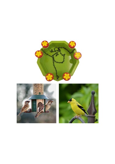 Suntek Arka Bahçe Açık Dekor Için Sinek Kuşu Besleyici