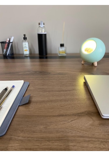 Geox Little Pet House Masa Lambası, Gece Lambası, Abajur, Yeşil