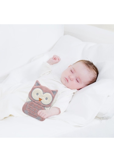 Babyjem Kiraz Çekirdekli Gaz Yastığı Baykuş