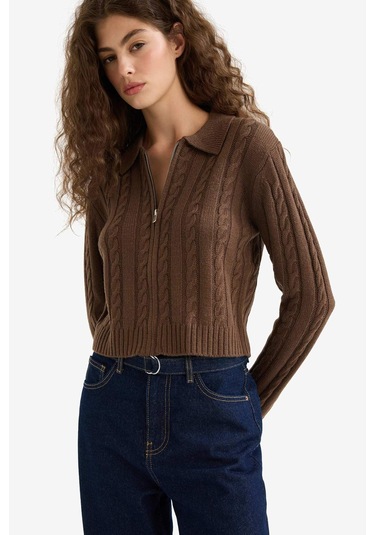 Defacto Regular Fit Polo Yaka Fermuarlı Triko Hırka A3331ax25wnbn319 Kahve