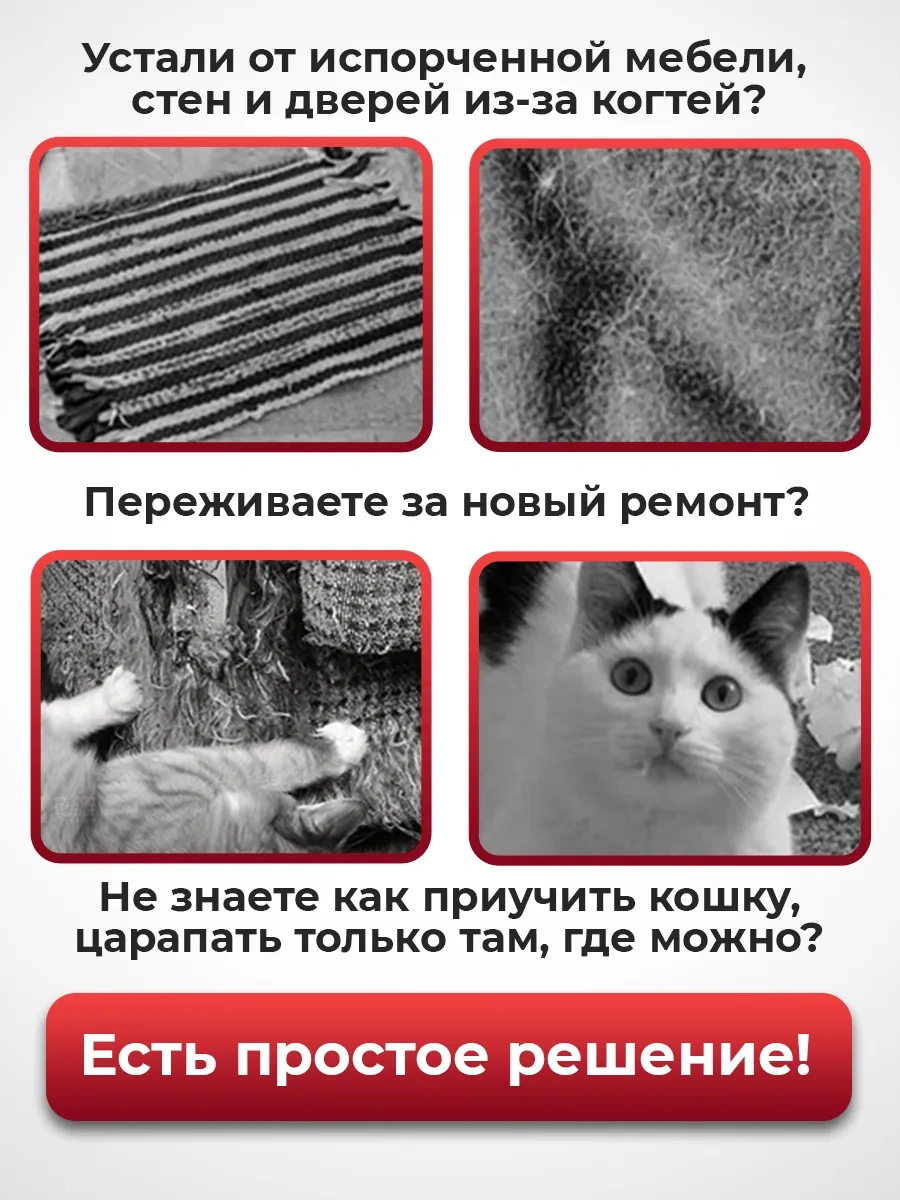 Conflate Kedi Tırmalama Tahtası Kendinden Yapışkanlı 307364957