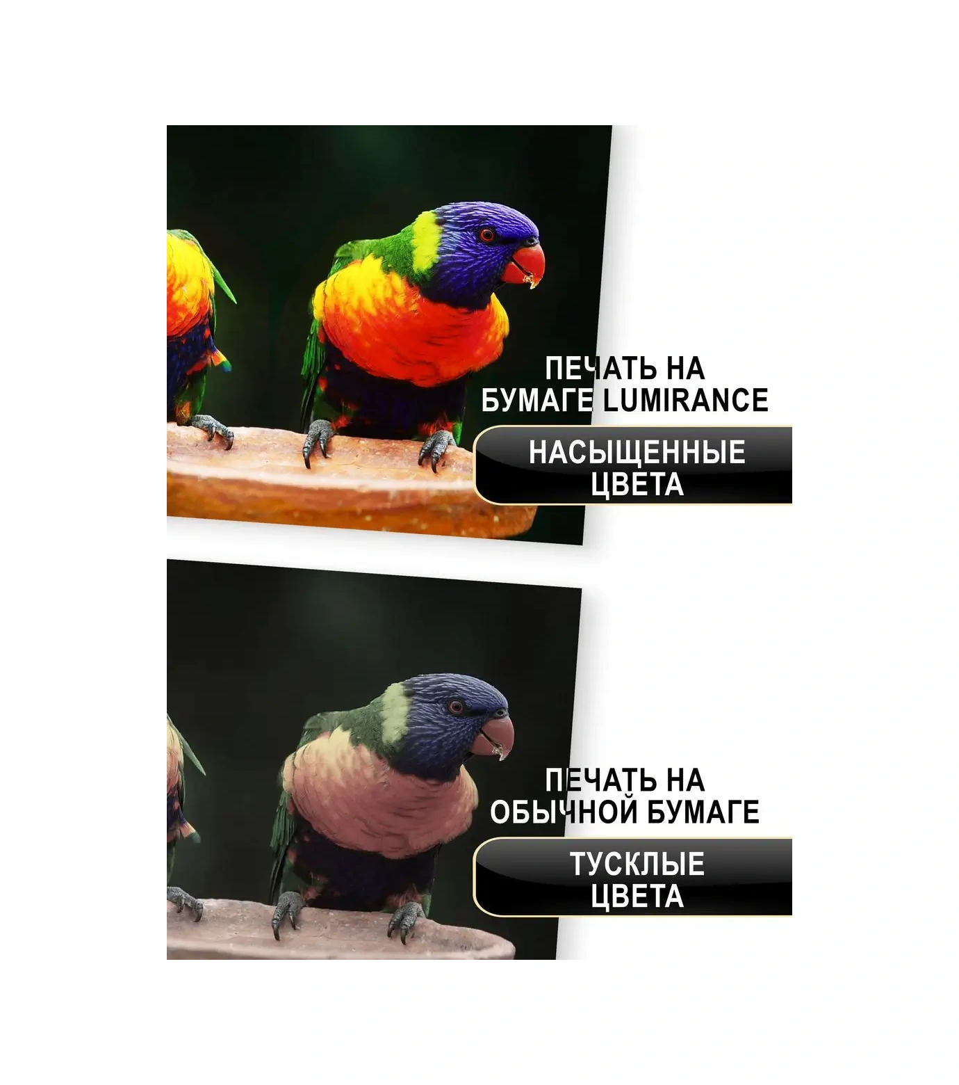 Lumırance Fotokopi Kağıdı Parlak, 10x15, 210 Gr/m2, 100 Yaprak. 33469493