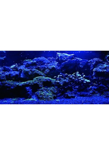 Kanki Pet Akvaryum Arka Fon Yapıştırma 105x52 Cm Kp10552025