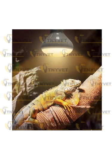 Tnyvet 100 Watt / Gün Işığı Güneş Lambası Isıtıcı Lamb