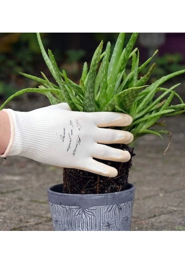 Rostaıng Nude Bahçe Saksı Ekim Dikim Ve Yabani Ot Eldiveni