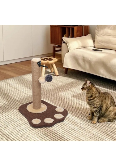 Suntek Kedi Tırmalama Sonrası Kediler Taşlama Paws Asılı Top