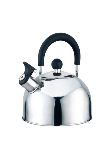 Mutfak Duygusu Paslanmaz Çelik Ocak Soba Team Tea Su Isıtıcısı Naylon Sap, 2.5 Litre, Mutfak Cihazı