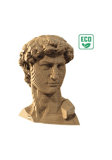 Cartonic 3d Puzzle - Davıd