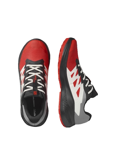 Salomon Alphaglıde Gore-tex Erkek Ayakkabısı L47975200 Çok Renkli