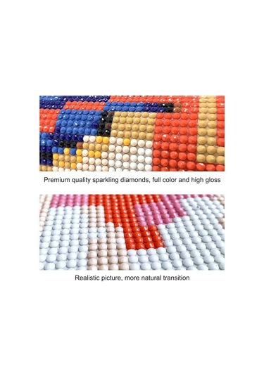 Shineyee 30x40cm Zs314 Tam Taşlı Kristal Dekoratif Tablo - Dıy Boyama Seti Ve Araçlar Dahil Siyah