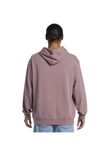 Quiksilver Salt Water Hoodie Erkek Sweatshirt Mor
