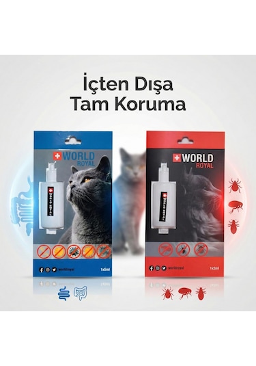 Kedi Dış Parazit