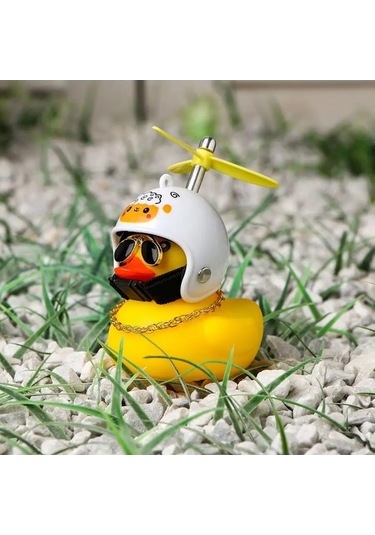 Simalend Arabanın İçinde Kasklı Ve Gözlükli Ördek 165493344