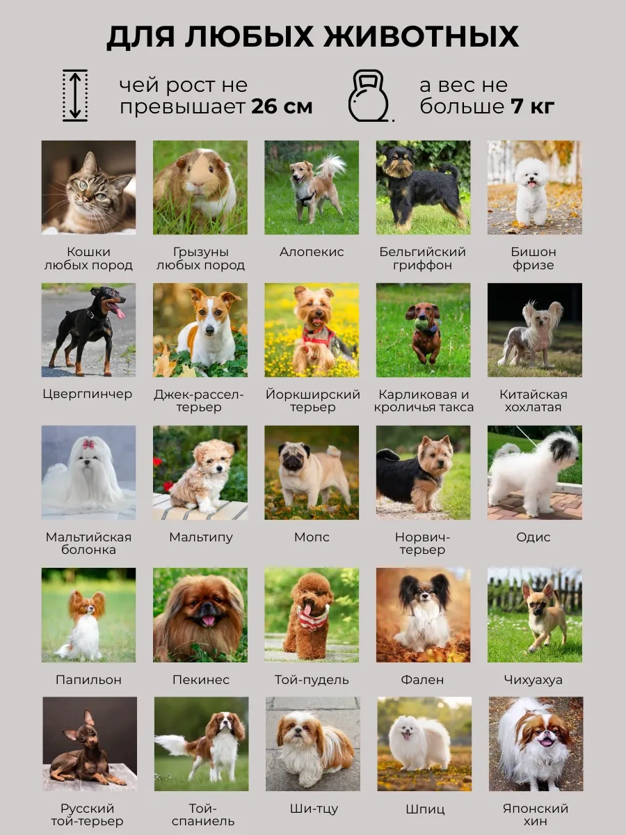 Betti Kedi Ve Köpekler İçin Taşıma Çantası. Büyük, Yumuşak. 403755634