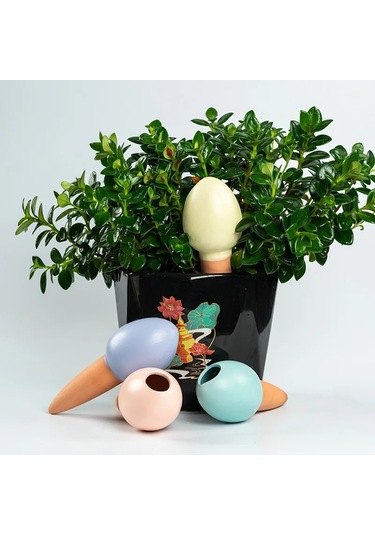 4 Adet Otomatik Bitki Sulama Stakes Yumurta Kendinden Sulama