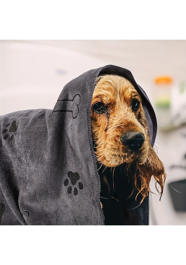 Ecronicword 4'lü Paket Evcil Köpek Banyo Havlusu Emici Çabuk Kuruyan Yumuşak