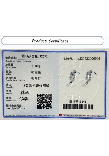 Yaratıcı Hayvan Gümüş Küpe Kadın Zamanı İçin Zarif Papağan Şekli Zirkon Küpe Parti Takı Yıldönümü Hediyesi S925 Gümüş Takı