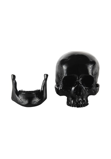 Suntek Reçine Çoğaltma Sanat İnsan Kafatası Modeli Parti