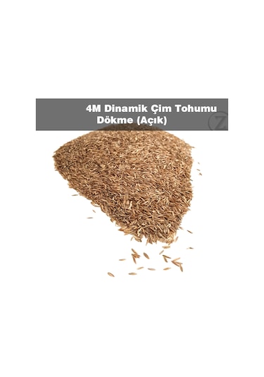 Çim Tohumu 5 KG Dinamik 6M Dayanıklı Çim Tohumu