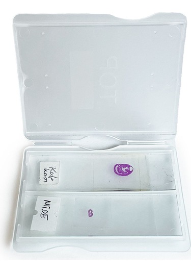 ISOLAB Lam Taşıma Kutusu 2 Lam