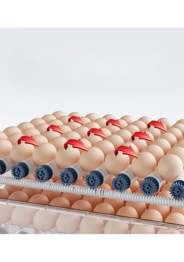 120 Yumurta Kapasiteli Tam Otomatik Kuluçka Makinesi - Civciv, Kaz, Hindi Ve Ördek Yetiştiriciliği Epo-w120