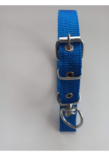 Kozaklı Küçük Irk Köpek Tasması Mavi 50 x 2.5 CM Mavi