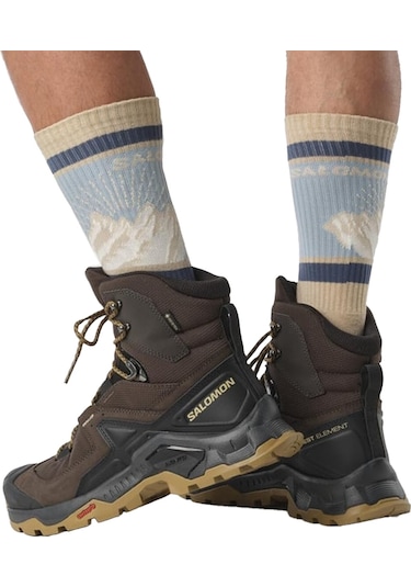 Salomon Quest Element Gtx Erkek Outdoor Ayakkabı Delicioso/black/dull Gold 001