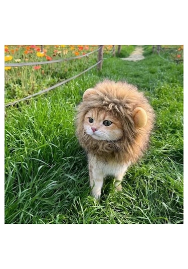 Traje Den Kedi Kostümü Aslan Yelesi