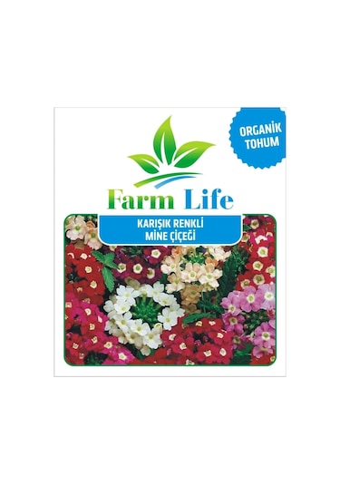 30 Adet Karışık Renkli Mine Çiçeği Tohumu Verbena