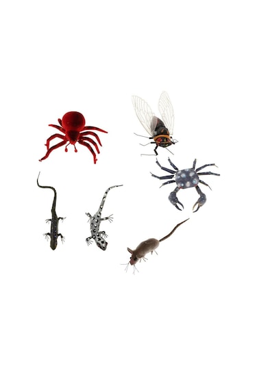 Suntek Son Derece Simüle Kil Böcekler Rastgele Renkli Hayvanlar