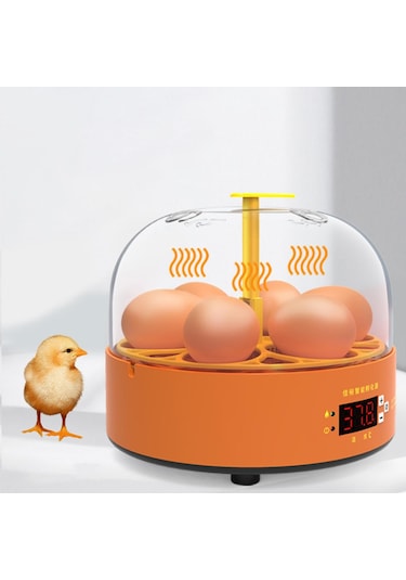 Suntek Mini Yumurta Kuluçka Makinesi Otomatik Dönen Ördek Kuş