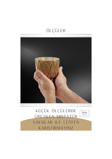 Çiçek Saksısı Dekoratif Kaktüs Saksı 1 Adet Baklava Model - Altın