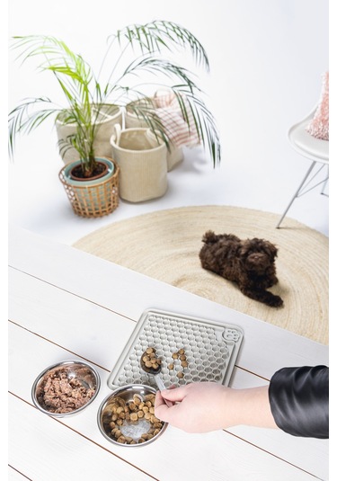 Beeztees Yavru Köpek Yaş Mama Yeme Oyuncağı, Kare, Silikon, Gri, 20x20cm