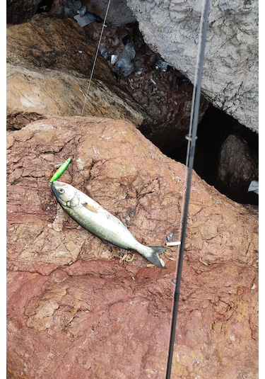 S.f. Sardin Jig 29g Renk: 14 - Sahte Yem Kaşık Rapala -levrek, Palamut, Lüfer, Çinekop, Turna Jig Yem -zebra Glow