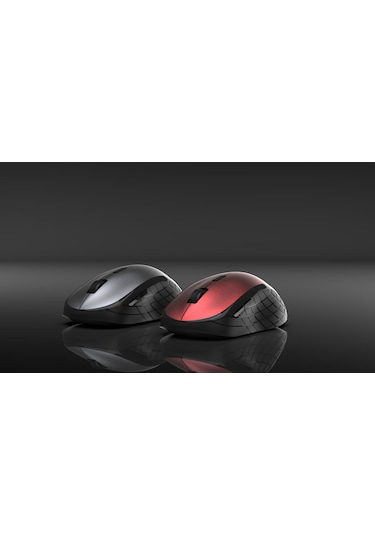 Inca IWM-395TG 1600 DPI Wireless Mouse