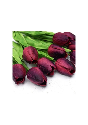 İthal Özel Pink Dolphin Lale Soğanı İri Kafa Özel Lale Soğanı 4 Soğan