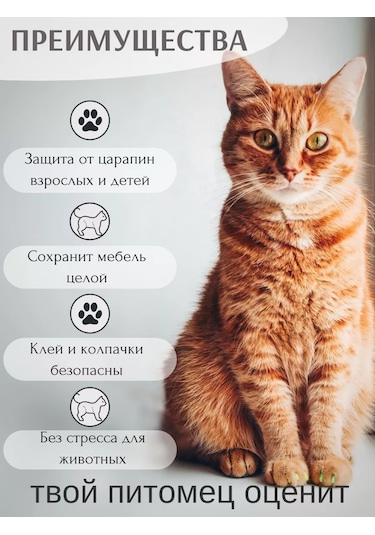 E.lekar' Kedi Tırmık Kesici Tırnak Koruyucuları, Tırnak Koruyucuları 40 Adet S 261040778