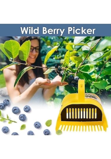 Moly Dikenli Çilek Toplayıcı - Bpa'sız, Ergonomik Bahçe Aleti - Kolay Toplama, Güvenli Tasarım