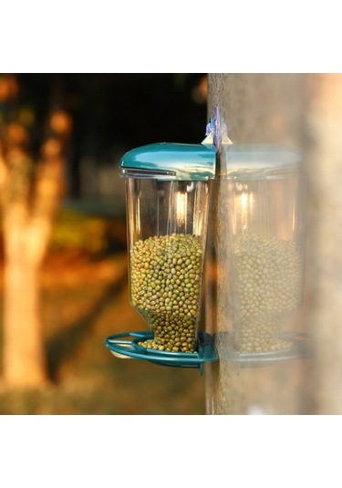 Pazly Şeffaf Açık Hava Kuş Yemliği, Pencere Asılı Sinek Kuşu Bahçe Yemliği