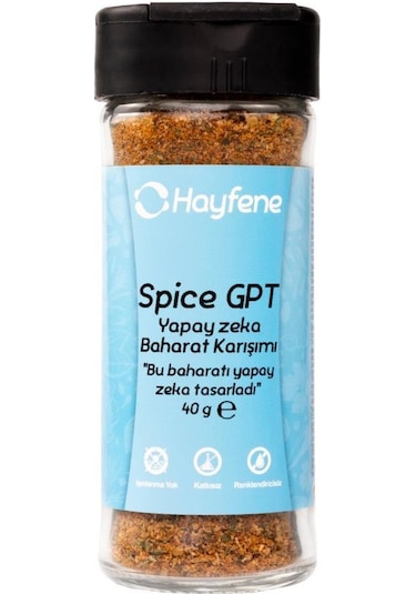 Hayfene Spice Gpt Yapay Zeka Baharat Karışımı 40 G