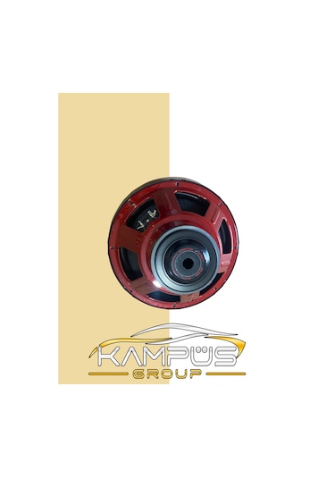 Boschmann Subwoofer Bm Audio 1400 Watt 300 Rms 30 Cm