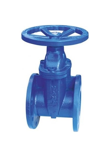 Klepsan 1190 Elastomer Sürgülü Vana F4 Gg40