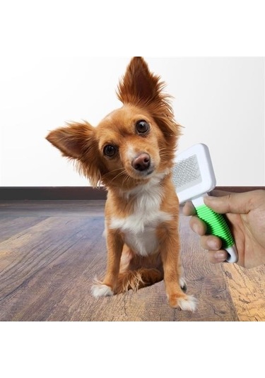 Buffer Kedi Köpek Telli Küçük Boy Tüy Bakım Seti Evcil Hayvan Tarama Fırçası Çok Renkli