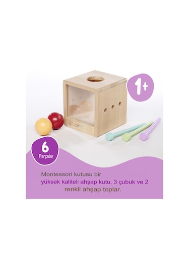 Eichhorn Montessori Ahşap Top Atma Kutusu