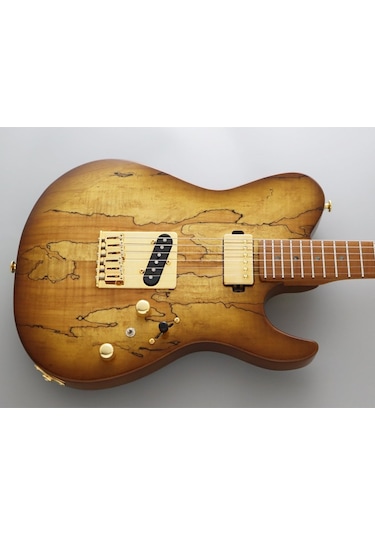 Fujigen Iliad Elektro Gitar Eılew1hsrm/hcb